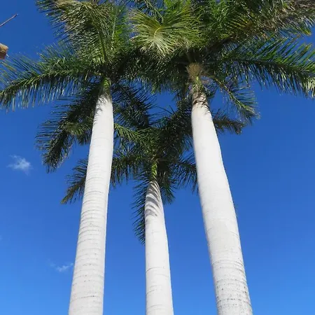 Hébergement de vacances Casa Sur *